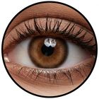 Phantasee Fashion - Design Brown (2 šošovky trojmesačné) - nedioptrické