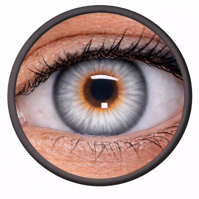 Phantasee Nulook - Misty Grey (2 šošovky mesačné) - nedioptrické