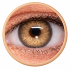 Phantasee Nulook - Storm Pearl (2 šošovky mesačné) - nedioptrické