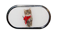 Púzdro so zrkadielkom Vianočný motív - Mačiatko v šále
