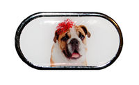 Púzdro so zrkadielkom Vianočný motív - Pes s mašľou