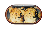 Púzdro so zrkadielkom Divoká zvieratá - Gepardy